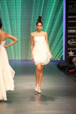 Model walks the ramp for KGK Entice Pvt.Ltd Show at IIJW Day 4 on 22nd Aug 2012 (161).JPG